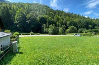 Grundstück zu kaufen in Stojen-Strasse 28, 8691 Altenberg, Wo Alpine Ruhe auf Beste Anbindung Trifft.