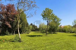 Grundstück zu kaufen in 3361 Aschbach-Markt, Rarität in Aschbach 1.264 m² Gesamtfläche, Voll Aufgeschlossen ohne Bauzwang!