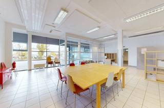 Büro zu mieten in 2372 Gießhübl, Super Gelegenes Büro/Lager/Geschäftslokal - 234 m² - Vielfältig Nutzbar