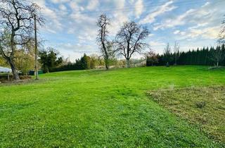 Grundstück zu kaufen in 4612 Scharten, Großzügiges Baugrundstück in Scharten - 2.847 m² Bauland | Bauplatzgenehmigung | Dorfgebiet | Gestaltungskonzept Vorhanden