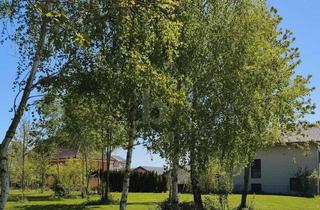 Grundstück zu kaufen in 3361 Aschbach-Markt, Rarität in Aschbach 1.227 m² Baugrund, Voll Aufgeschlossen ohne Bauzwang