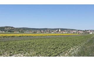 Gewerbeimmobilie kaufen in 7093 Jois, Landwirtschaftliche Grundstücke in Streulage der Gemeinde Jois/Neusiedl