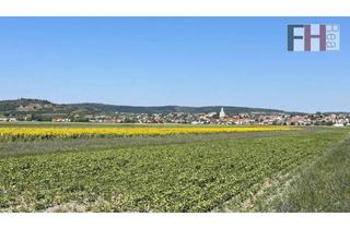 Gewerbeimmobilie kaufen in 7093 Jois, Landwirtschaftliche Grundstücke in Streulage der Gemeinde Jois/Neusiedl