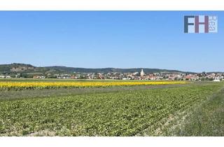 Grundstück zu kaufen in 7093 Jois, Landwirtschaftliche Grundstücke in Streulage der Gemeinde Jois/Neusiedl