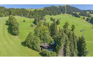 Haus kaufen in 6361 Hopfgarten-Markt, Berghütte in unverbaubarer Alleinlage - touristisch vermietbar