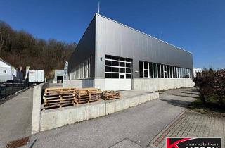 Gewerbeimmobilie kaufen in 4053 Haid, *** 750m² - LAGERHALLE - MIT SCHWERLASTREGALEN ***