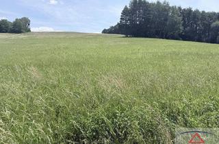 Gewerbeimmobilie kaufen in 7537 Neuberg im Burgenland, Landwirtschaftliche Flächen in der Nähe von Neuberg im Burgenland!