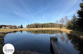 Einfamilienhaus kaufen in 3871 Alt-Nagelberg, Exklusiver Fischteich | Einfamilienhaus-Rohbau mit riesigem Grund in absoluter Ruhelage | Grünblick