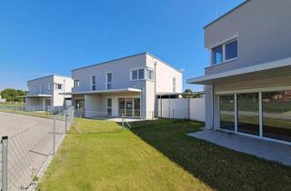 Wohnung mieten in Quellengasse 3/3, 3141 Kapelln, KAPELLN IX A - 3/03
