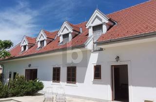 Haus kaufen in 7111 Parndorf, Stilvolle Ruheoase mit Pool