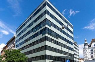 Büro zu mieten in Lugeck, 1010 Wien, Repräsentatives Innenstadtbüro