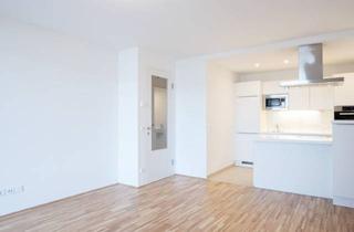 Wohnung mieten in Pius-Parsch-Platz, 1210 Wien, Hofseitige 2-Zimmer-Wohnung mit Großem Balkon! Kühlung Inklusive! u6 Floridsdorf! ab Mitte Oktober