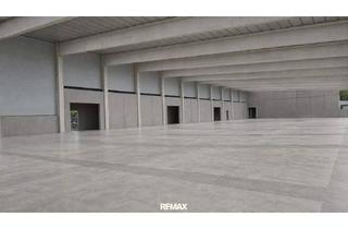 Büro zu mieten in 4655 Vorchdorf, Flexible Logistik- & Produktionsflächen direkt an der A1 in Vorchdorf.