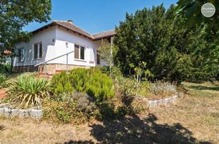 Haus kaufen in 7162 Tadten, Seewinkel Hideaway - charmanter Bungalow mit Riesengarten