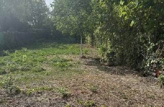 Grundstück zu kaufen in 2491 Neufeld an der Leitha, Ferienparzelle am Neufelder See zu mieten – Nur wenige Gehminuten zum See