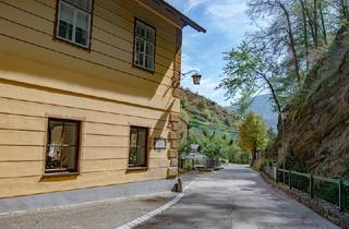 Haus kaufen in 3620 Spitz, "HAUS zum PRATER" - ein Stück Wachauer Geschichte mit vielfältigen Möglichkeiten!
