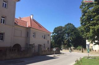 Wohnung mieten in Nibelungenplatz 7-10, 2410 Hainburg an der Donau, Erdgeschoss 2-ZImmer sanierte Altbauwohnung - nur 100m von Donau entfernt