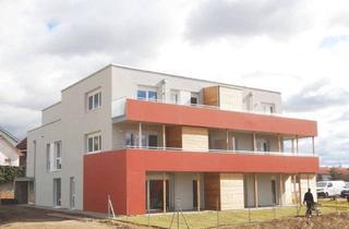 Wohnung mieten in Zellerndorf 244b, 2051 Zellerndorf, Moderne 2-Zimmer-Wohnung mit Balkon und Top-Lage in Zellerndorf