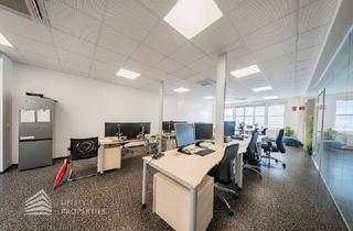 Büro zu mieten in 2201 Gerasdorf, Büroflächen in Gerasdorf bei Wien