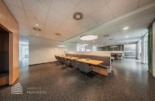 Büro zu mieten in 2201 Gerasdorf, Büroflächen in Gerasdorf bei Wien