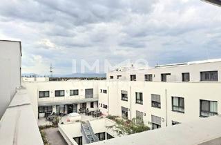 Wohnung mieten in 2700 Wiener Neustadt, Wohnen in Wiener Neustadt