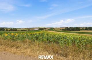 Grundstück zu kaufen in 2011 Sierndorf, Landwirtschaftliche Fläche mit 11 710 m² in Untermallebern zu verkaufen!