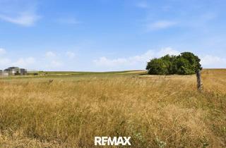 Grundstück zu kaufen in 2011 Sierndorf, Wald- und landwirtschaftliche Fläche mit 20 370 m² in Untermallebern zu verkaufen!
