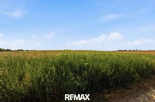 Grundstück zu kaufen in 2011 Sierndorf, Landwirtschaftliche Fläche mit 6709 m² in Höbersdorf zu verkaufen!