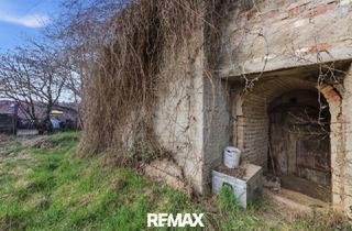 Grundstück zu kaufen in 2020 Hollabrunn, DAS IDEALE GRUNDSTÜCK FÜR IHR TINY HOUSE - 35 Minuten von Wien entfernt!