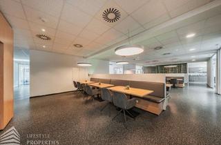Büro zu mieten in 2201 Gerasdorf, Büroflächen in Gerasdorf bei Wien