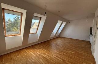 Wohnung mieten in 1230 Wien, Apartment klein & fein