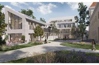 Büro zu mieten in 2100 Korneuburg, TOP Lage! Bürofläche mit Terrasse im Herzen von Korneuburg!