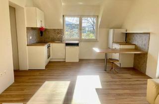 Wohnung mieten in Geißlergasse, 8045 Graz, Ruhige Wohnung mit Wintergarten und Gartenbenützung | Nähe Andritzer Hauptplatz