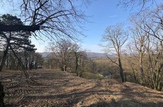 Grundstück zu kaufen in Max Poosch-Gasse 69, 3400 Klosterneuburg, Exklusives Baugrundstück am Ölberg in Klosterneuburg – sonnige Hanglage mit spektakulärem Fernblick und altem Baumbestand
