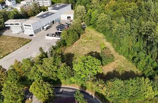 Grundstück zu kaufen in 3013 Pressbaum, Betriebsbaugrund im Ortszentrum Pressbaum/Tullnerbach