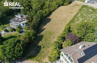 Grundstück zu kaufen in 3400 Klosterneuburg, Traumgrundstück am Ölberg im Bieterverfahren