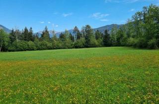 Gewerbeimmobilie kaufen in 9753 Kleblach, Schöne Grünlandfläche in der Gemeinde Kleblach/Lind