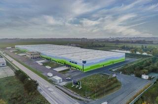 Büro zu mieten in 2542 Kottingbrunn, Beste Anbindung an die A2 - Logistikpark Kottingbrunn