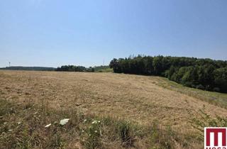 Grundstück zu kaufen in 8200 Gleisdorf, Sonniges Baugrundstück in naturnaher Lage – Ihr Platz für das Eigenheim