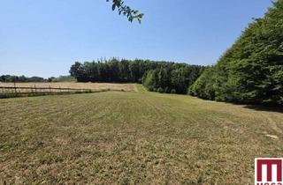 Grundstück zu kaufen in 8200 Gleisdorf, Sonniges Baugrundstück in naturnaher Lage – Ihr Platz für das Eigenheim