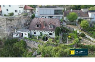 Einfamilienhaus kaufen in Schloßberg, 3500 Krems an der Donau, Bieterverfahren | Haus mit Weitblick am Schlossberg in Krems