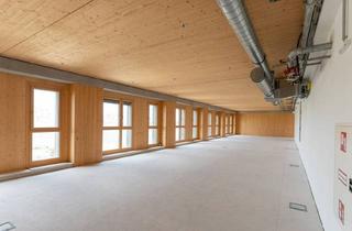Büro zu mieten in Janis-Joplin-Promenade, 1220 Wien, Büro/Praxis/Geschäftsflächen ab 325 m2 mit Seeblick Direkt an der u2 Individuell Gestaltbar! ab Sofort Verfügbar!