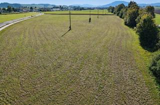 Gewerbeimmobilie kaufen in 5211 Lengau, Grundstücksreserve in strategischer Lage – Lengau
