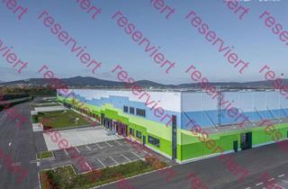 Gewerbeimmobilie mieten in 2542 Kottingbrunn, Logistik- & Industriepark im Süden von Wien