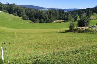 Grundstück zu kaufen in Breitenstein 39, 4160 Schlägl, Naturnahes Baugrundstück in ruhiger Lage