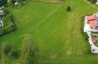 Grundstück zu kaufen in 8692 Krampen, 2.040 m² Baugrund am Ortsrand – nur € 119.000,- inklusive bewilligtem Bauprojekt