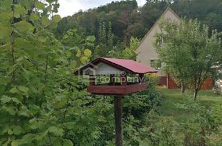 Einfamilienhaus kaufen in 2640 Gloggnitz, Charmantes Einfamilienhaus mit Garage, Werkstatt & großem Nebengebäude in Gloggnitz