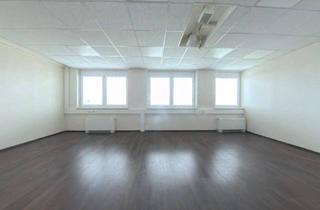 Büro zu mieten in Hirschstettner Straße 19, 1220 Wien, Große Bürofläche 580 m² – Miete inkl. Betriebskosten – provisionsfrei – direkt an der A23 (1220 Wien)