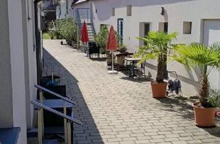Wohnung mieten in 7121 Weiden am See, Charmante 2-Zimmer-Wohnung mit 55 m² in Weiden am See – für 1 Jahr