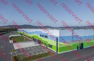 Lager mieten in 2542 Kottingbrunn, Logistik- & Industriepark im Süden von Wien